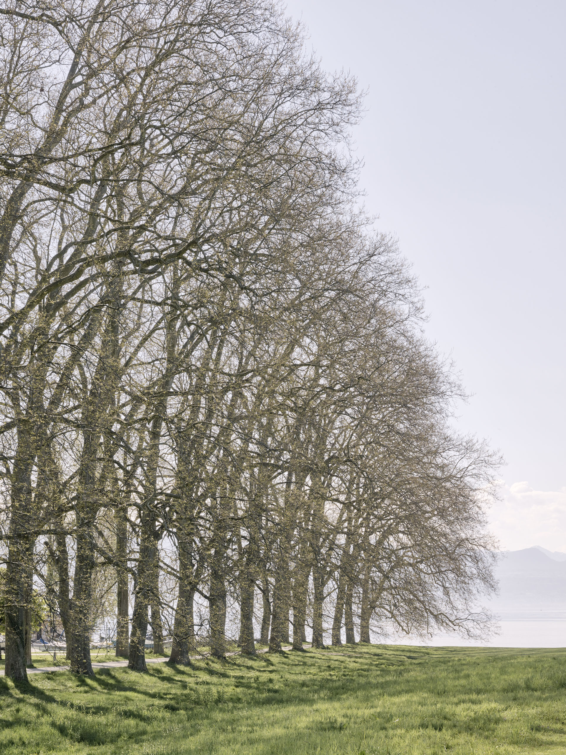 UNIL Sport Cluster construction site